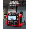imageKAIWEETS HT5203 Megohmmeter Insulation Resistance Tester Up to 100G 50V100V250V500V1000V OneTouch DARPI with ACDC Voltage Testing for Motors Solar HVAC