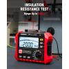 imageKAIWEETS Insulation Resistance Tester Up to 200G Pro Megohmmeter 5 Range 100V250V500V1000V2500V OneToch DARPI MaxMin Measures Resistance ACDC Voltage for HVAC Motors Solar KE2500